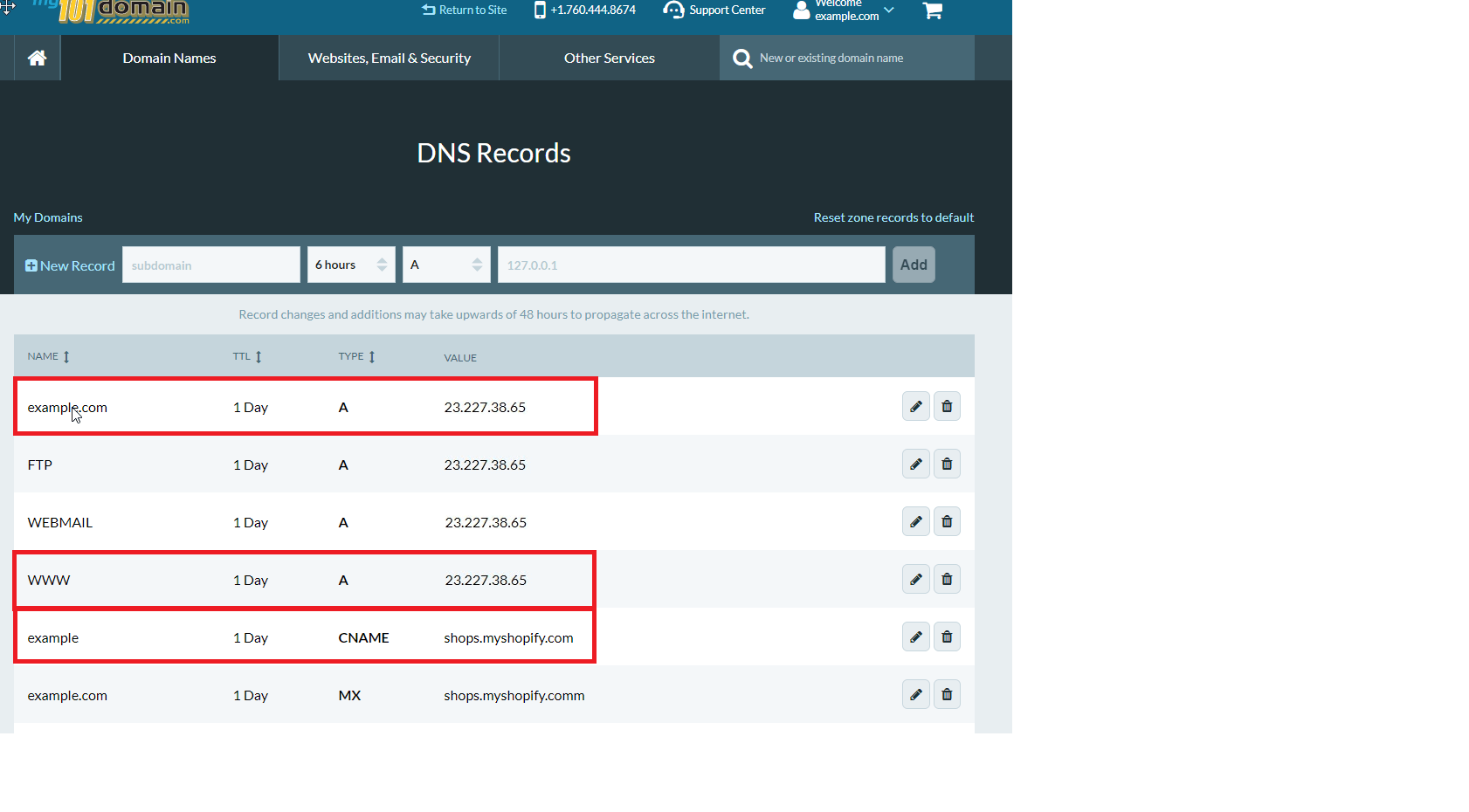 2020Domain Names tab.png