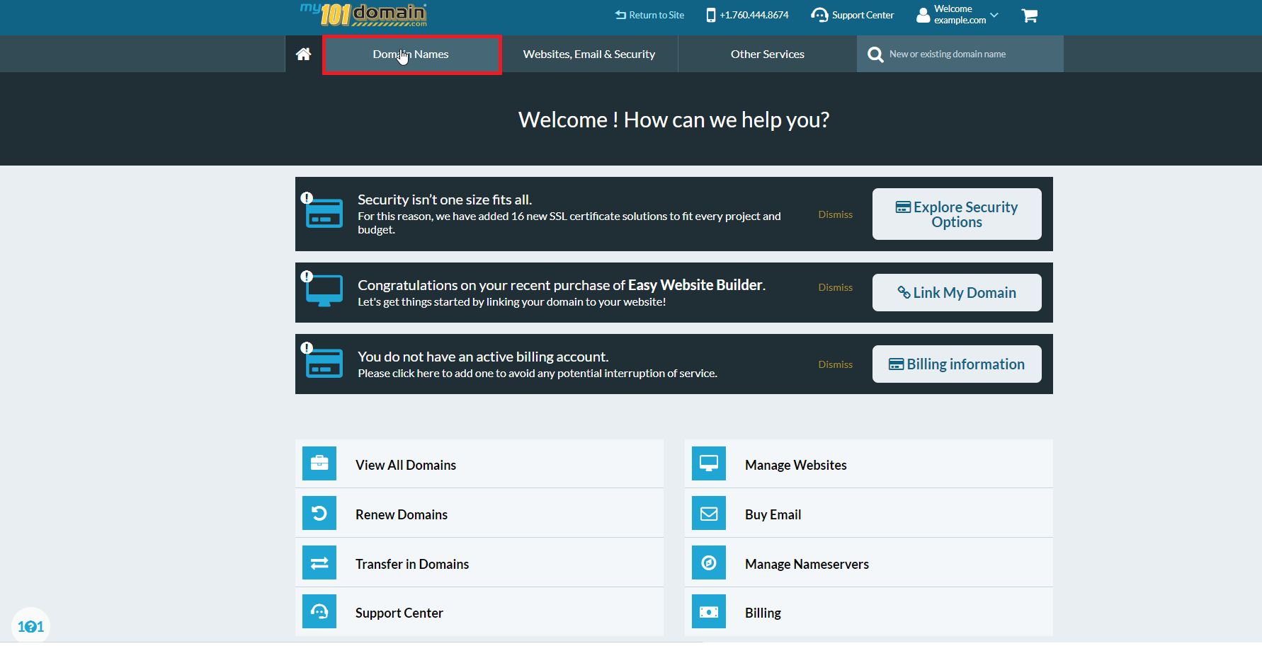 Domain names tab.png