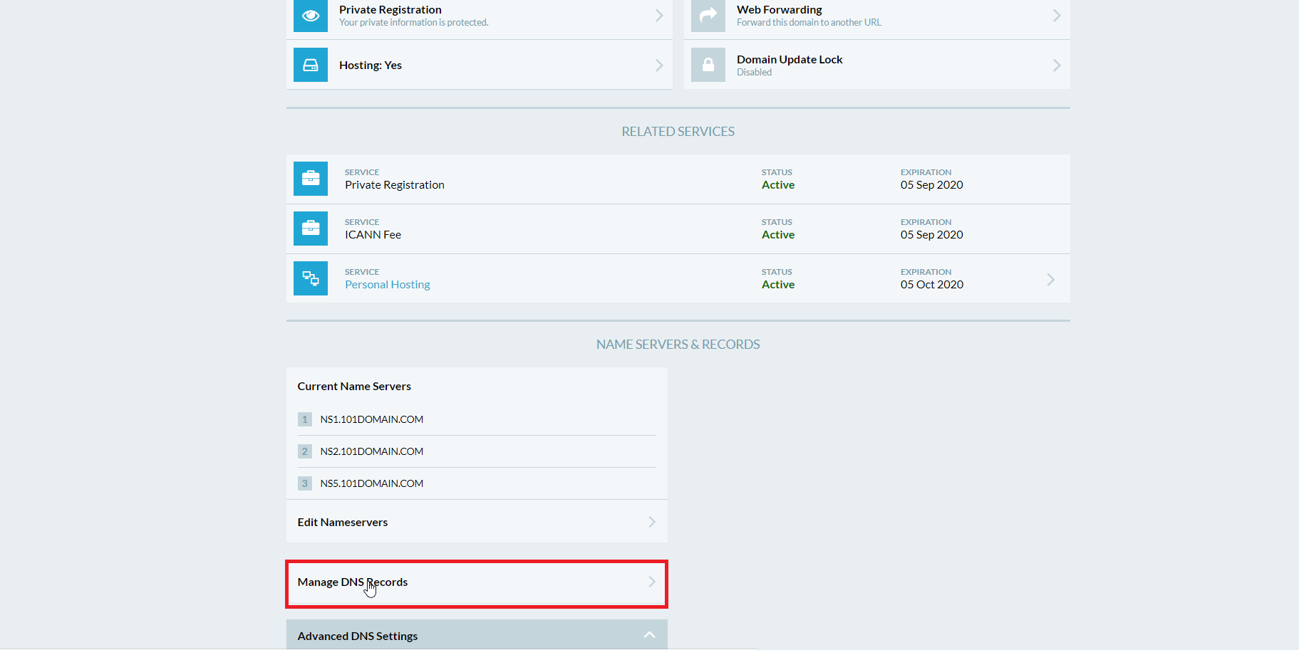 Manage DNS records.png